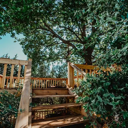 House Peroj, Wi-fi, Free Parking, Garden, Hot Tube, Pet Friendly *