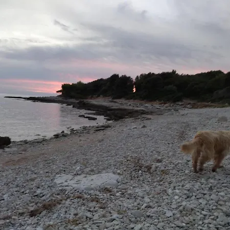 House Peroj, Wi-fi, Free Parking, Garden, Hot Tube, Pet Friendly Апартаменты Перой